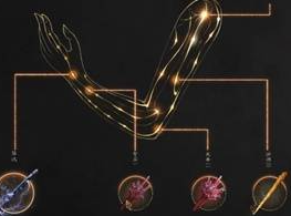明末渊虚之羽雷伤流BD搭配最新攻略